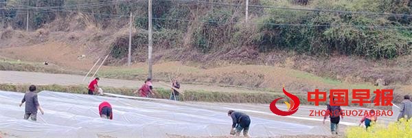 1710405199100130.jpg 222.jpg