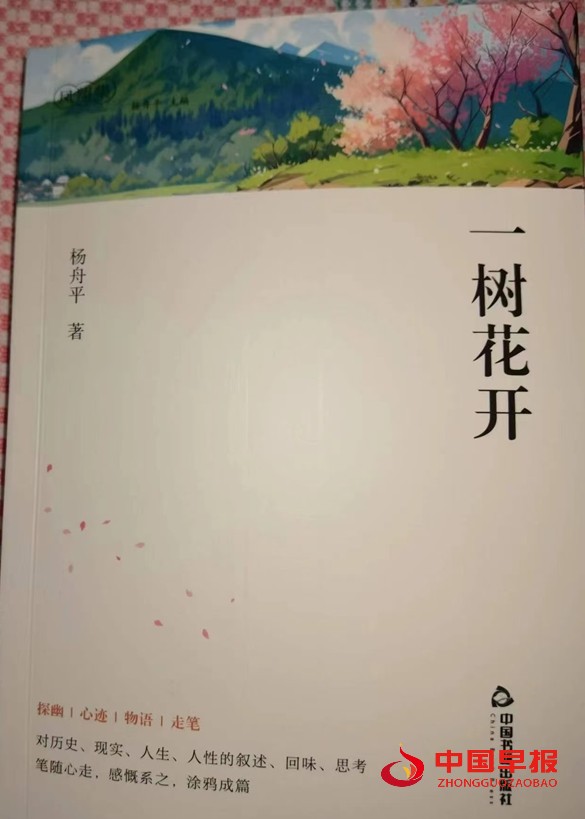 马尹梅散文《杨舟平先生其文其人》 马尹梅散文《杨舟平先生其文其人》
