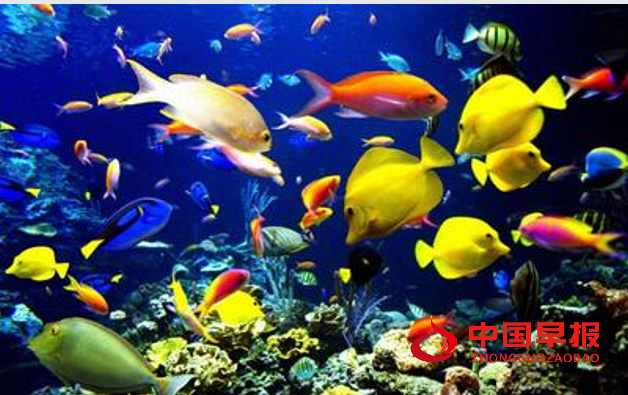 1730253449162875.png 海底1.png