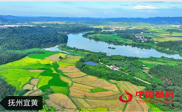 1731717216142576.png 2.png