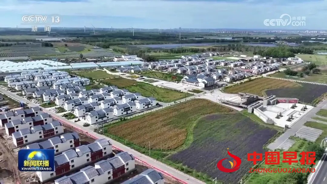 1739245791131655.jpg 图片03.jpg