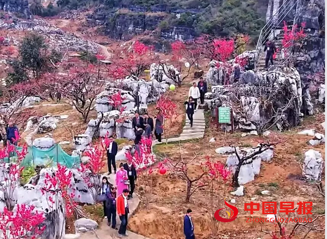 1743989236857030.png 3.png