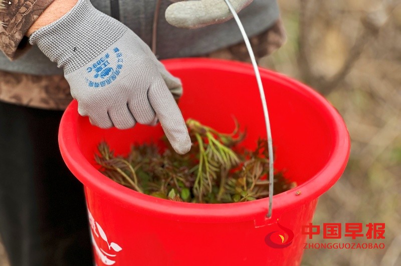 1744721654554562.jpg 3_副本.jpg