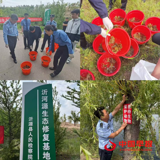 1747273634188934.png 640 (1)_副本.png