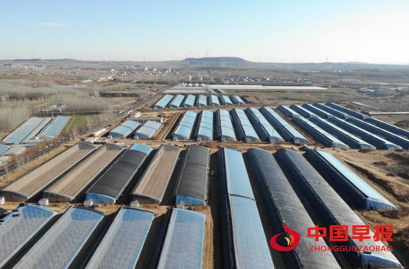 1749473198185133.jpg 1_副本.jpg