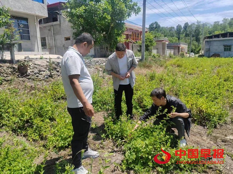 1751332000210283.jpg 1751332000210283.jpg