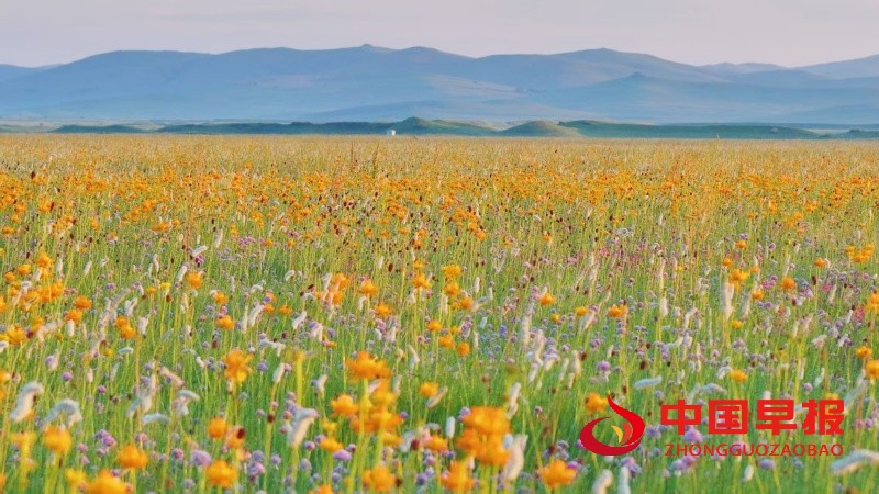 1751604072214543.jpg 1_副本.jpg