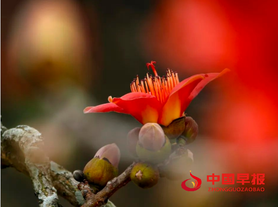 1754969800144759.png 2.png