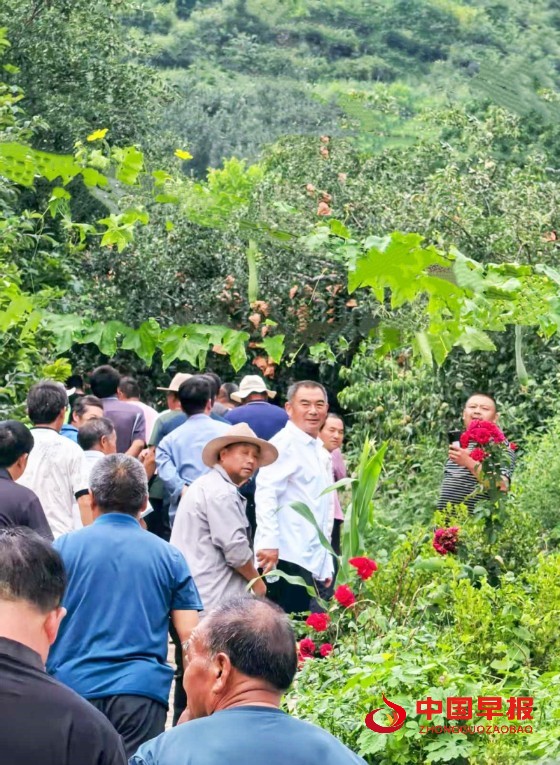 1755586264131848.jpg 4_副本.jpg