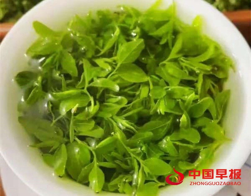 1755701966528202.jpg 微信图片_20250820230005_副本.jpg