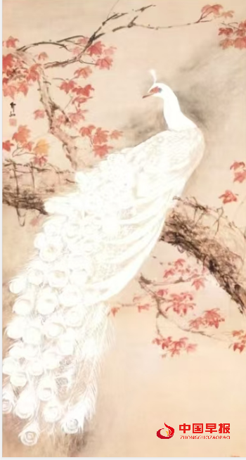 1755832538122769.png 33孔雀.png