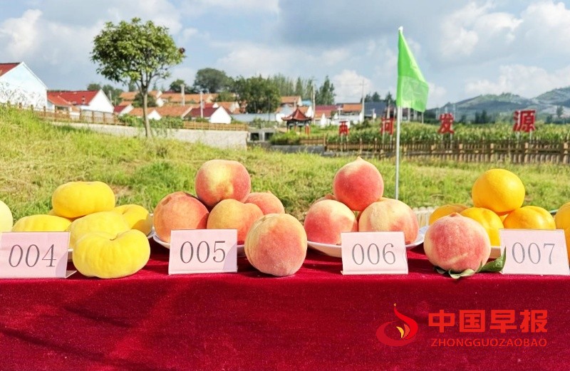 1755849593121902.jpg 4_副本.jpg