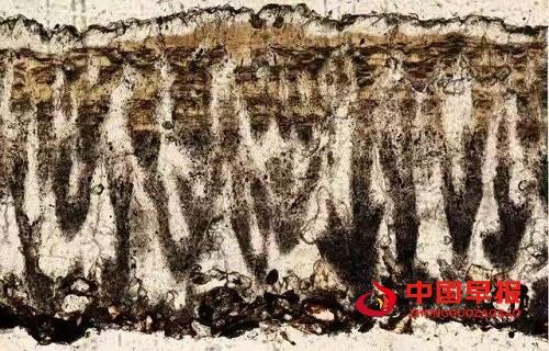 1757671998199257.jpg 微信图片_20250912180606.jpg