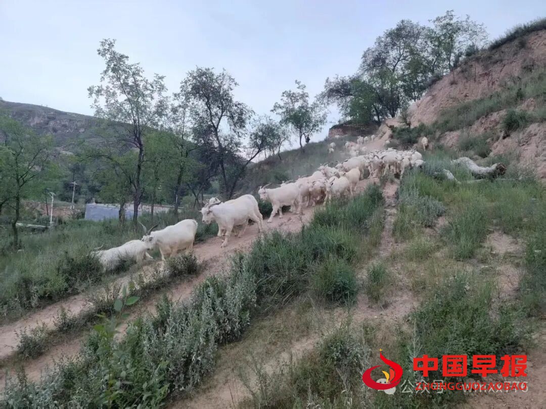 1760085775331953.jpg 图片01.jpg