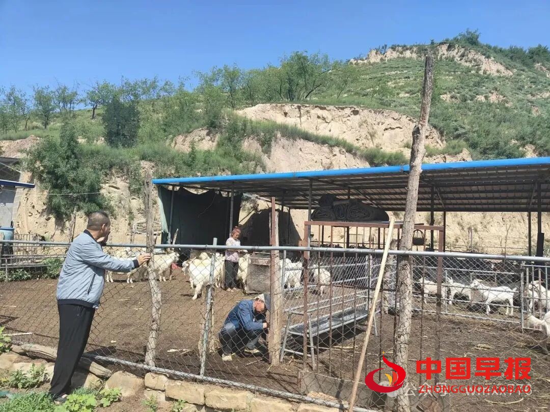 1760086004138115.jpg 图片06.jpg