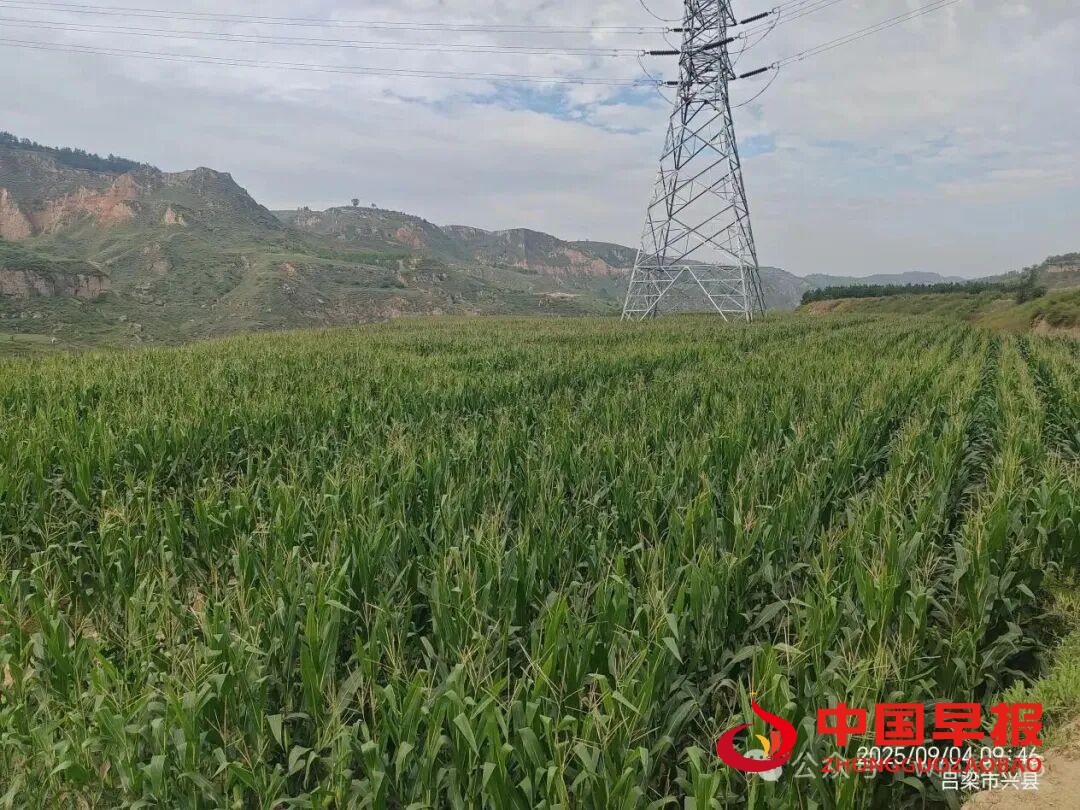 1760086093719477.jpg 图片08.jpg