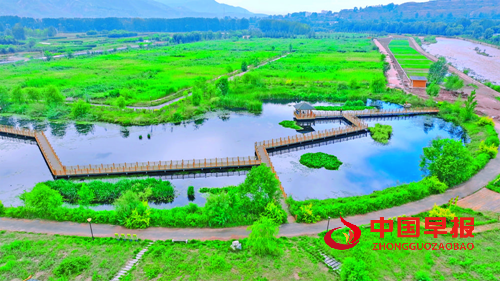 青海海东延续“绿色接力” 聚力绘就河湟谷地生态画卷(图1)