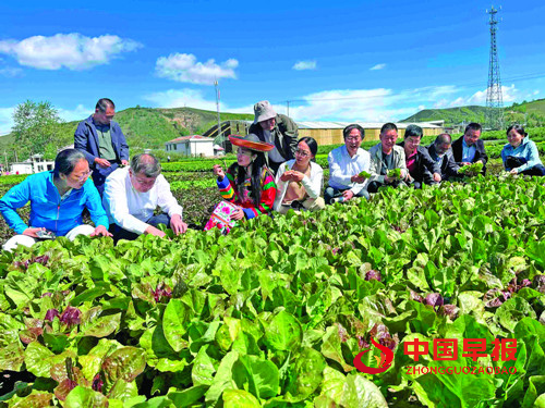 特色产业蓬勃发展 品牌建设成效显著：青海海东特色农业结硕果(图4)
