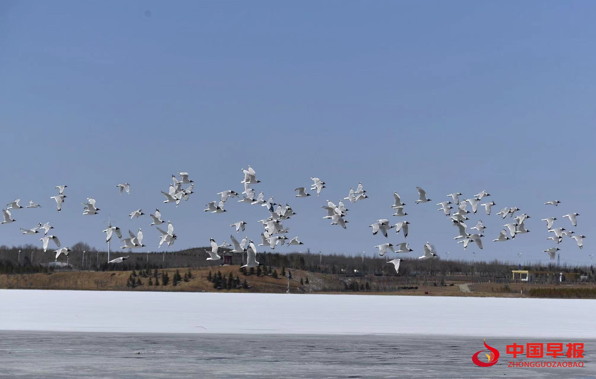 1765935593424047.jpg 图片06.jpg