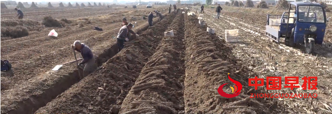 1766066490460193.png 微信图片_20251218214901.png