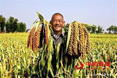 1766565018835016.jpg 图片01.jpg