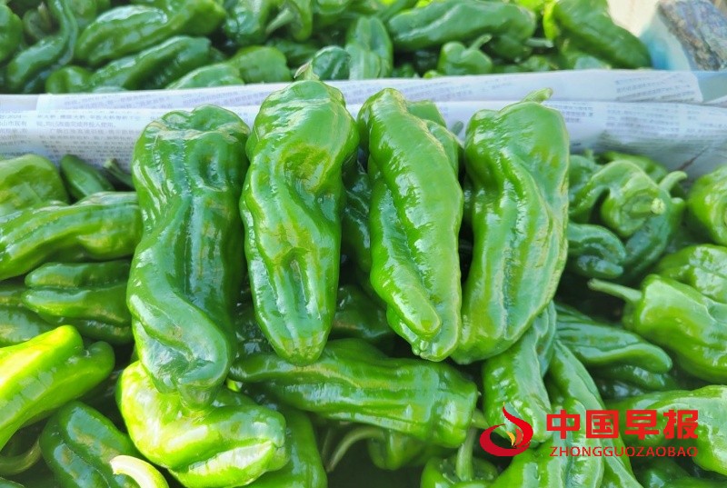 1766680666140789.jpg 2_副本.jpg