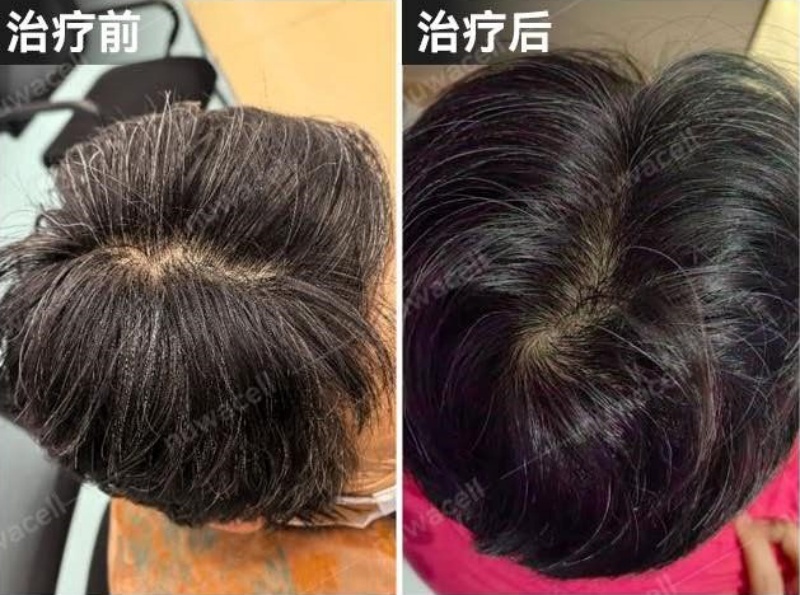 1789557389182144.jpg 3_副本.jpg